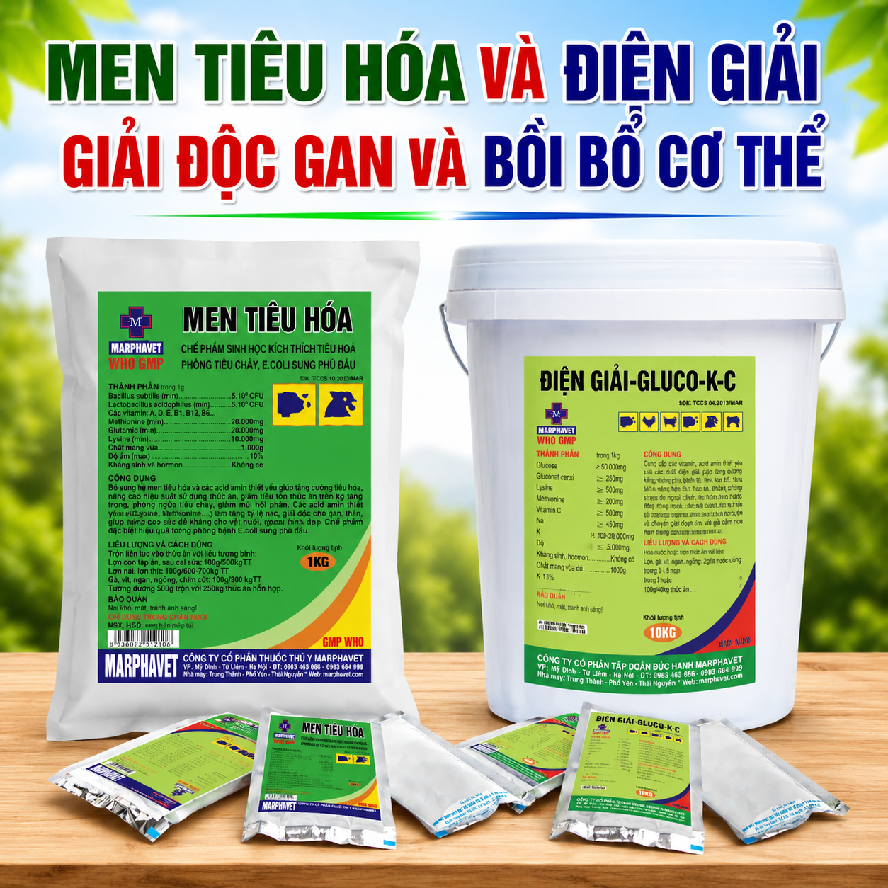 MEN TIÊU HÓA VÀ ĐIỆN GIẢI, GIẢI ĐỘC GAN VÀ BỒI BỔ CƠ THỂ