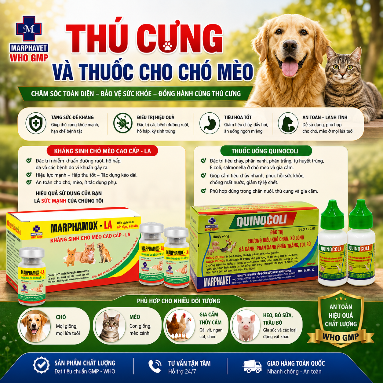 THÚ CƯNG VÀ THUỐC CHO CHÓ MÈO