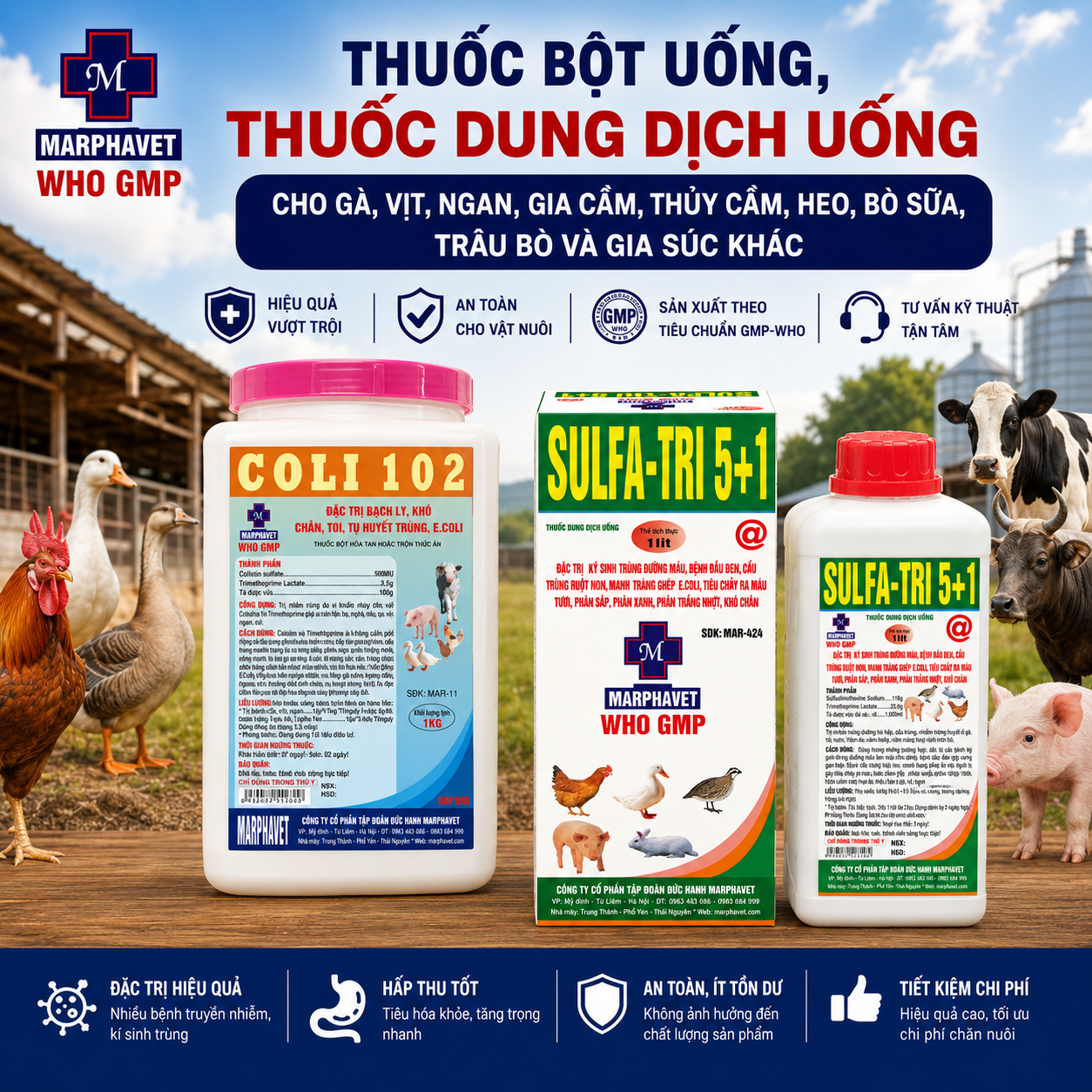THUỐC BỘT UỐNG, THUỐC DUNG DỊCH UỐNG CHO GÀ VỊT NGAN, GIA CẦM, THỦY CẦM, HEO, BÒ SỮA, TRÂU BÒ VÀ GIA SÚC KHÁC