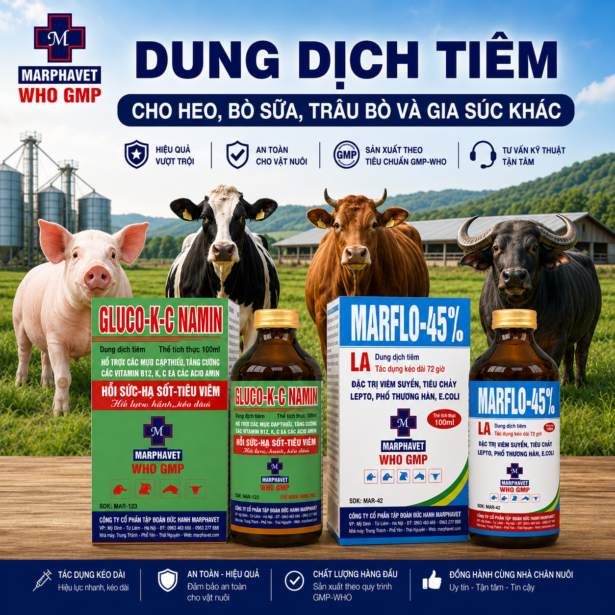 DUNG DỊCH TIÊM CHO HEO, BÒ SỮA, TRÂU BÒ VÀ GIA SÚC KHÁC
