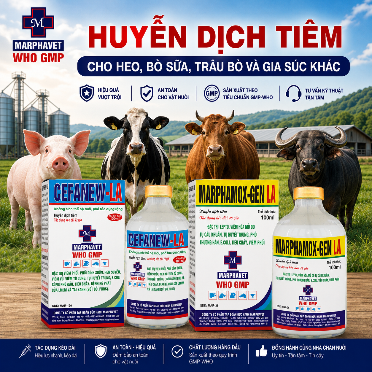 HUYỄN DỊCH TIÊM CHO HEO, BÒ SỮA, TRÂU BÒ VÀ GIA SÚC KHÁC